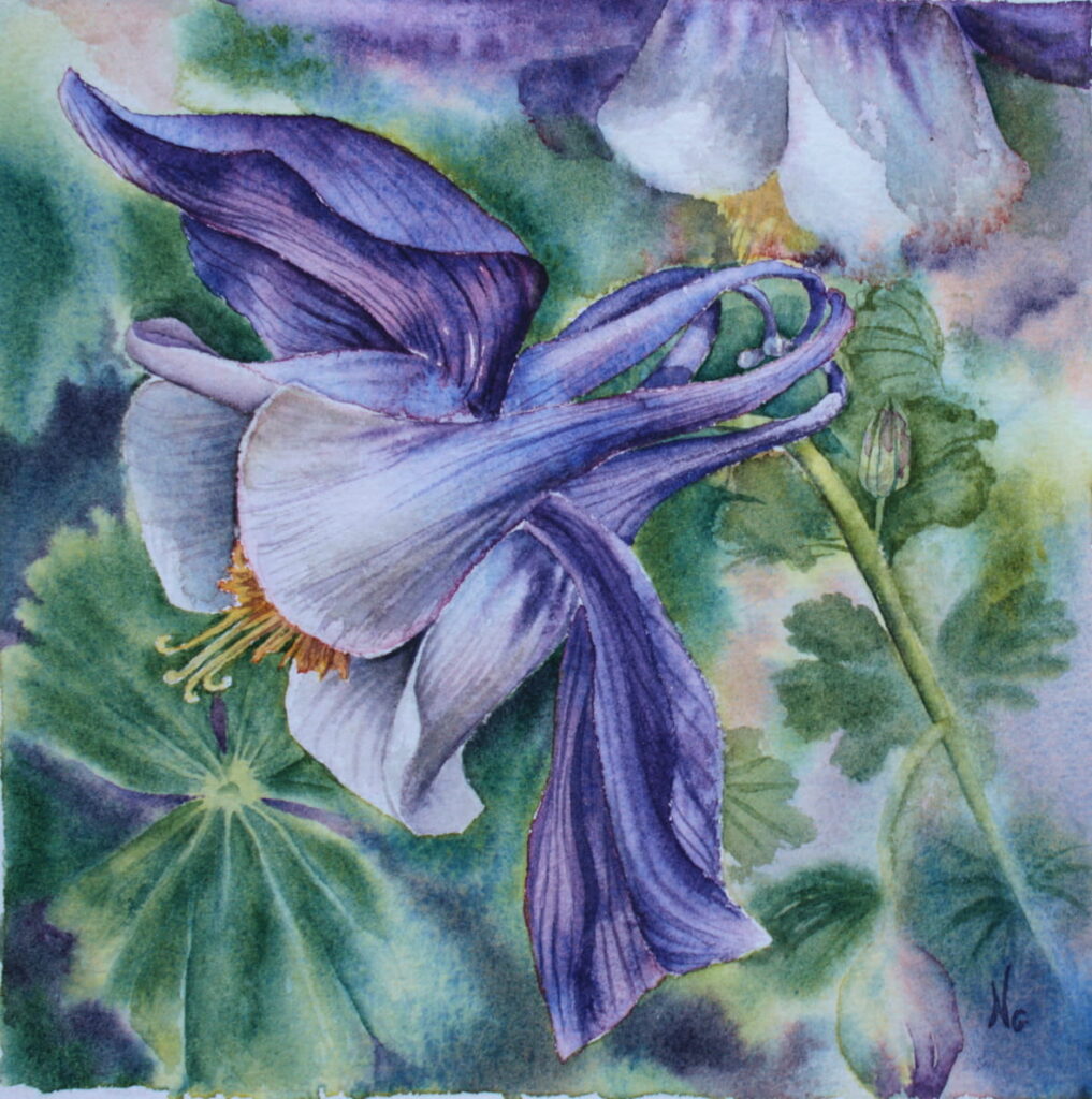 carré aquarelle ancolie fleur