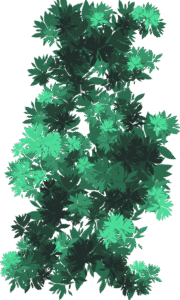 Forêt dessin numérique