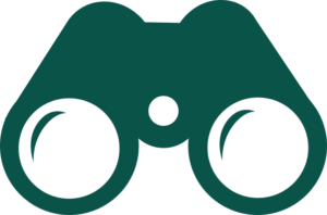 Icone personnalisée