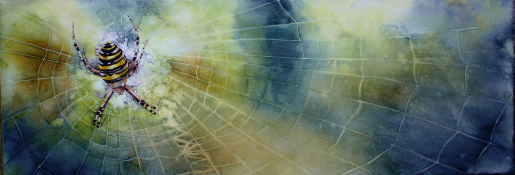 Peinture toile araignée