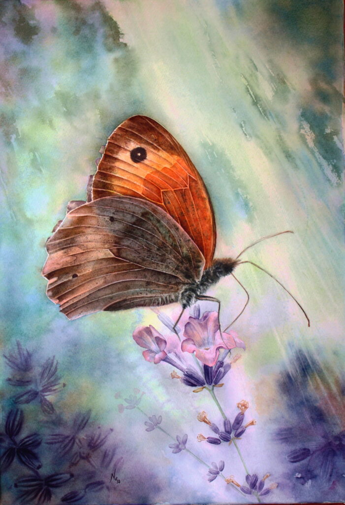 Aquarelle papillon Myrtil