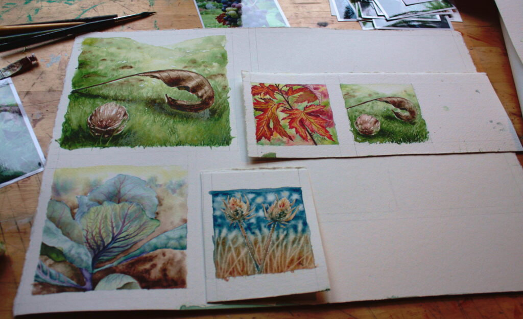 Aquarelles en cours étapes