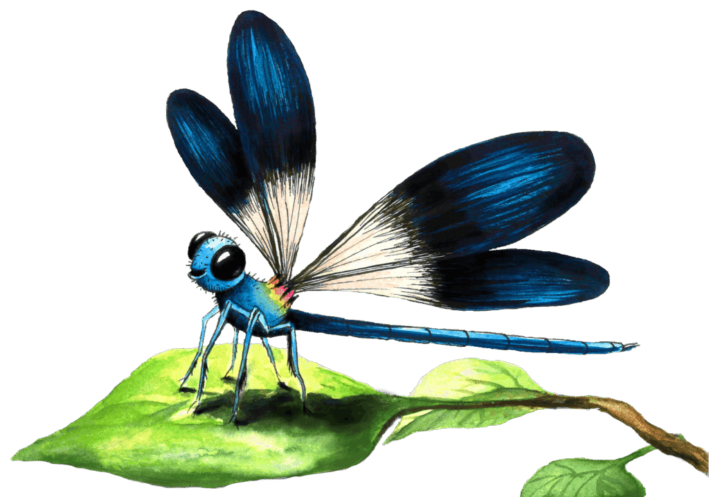 Aquarelle libellule enfants