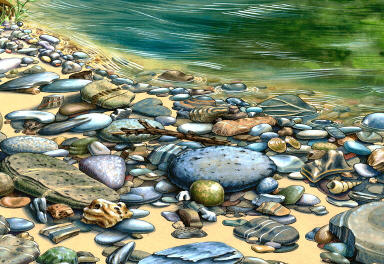 Feutres, aquarelle, gouache sur papier teinté